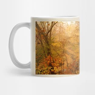 Such Fall Colors!  Minnehaha Creek - Minneapolis, Minnesota Mug